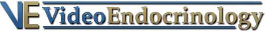 VideoEndocrinologyLogo