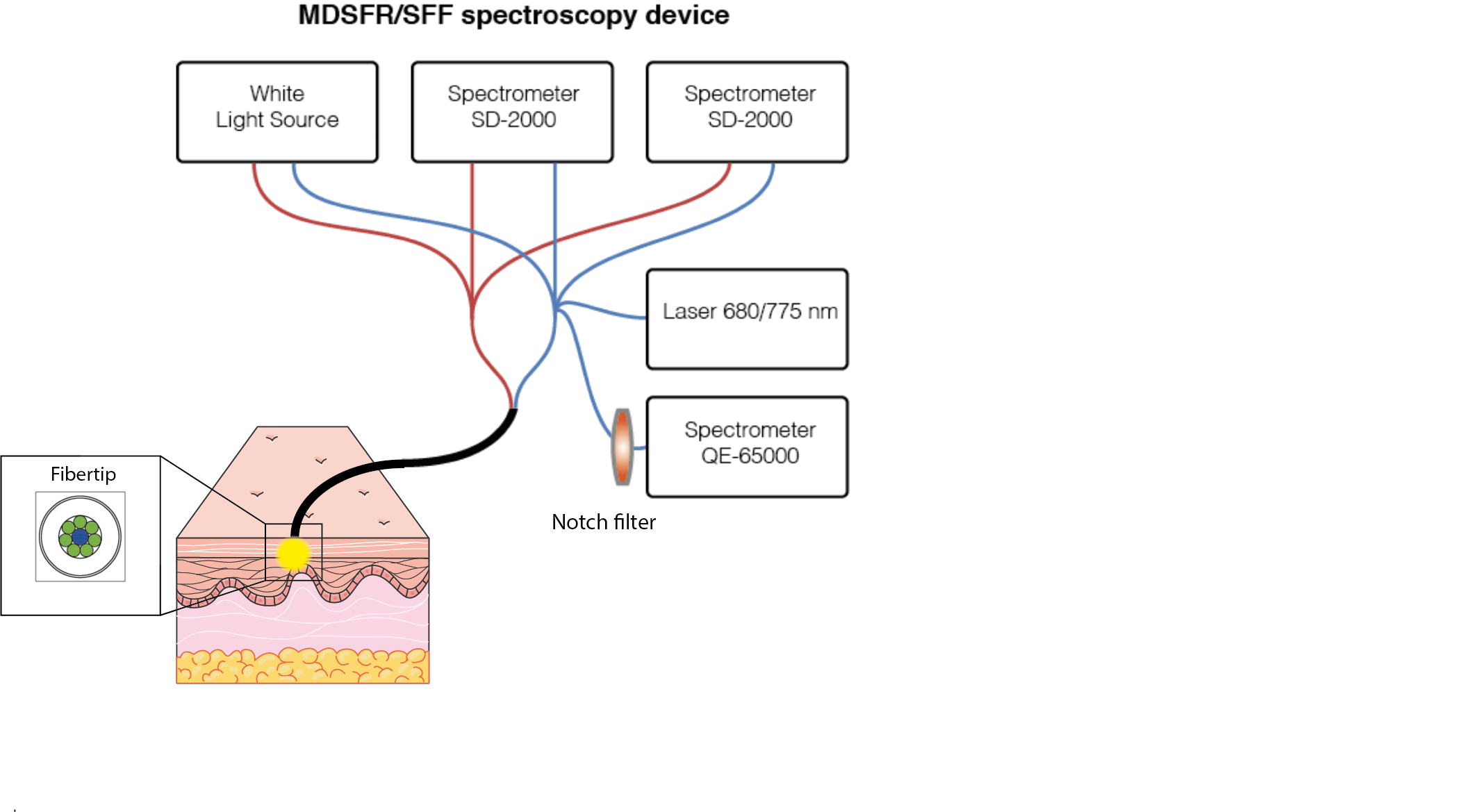 Endoscopic spectroscopy | OMIG