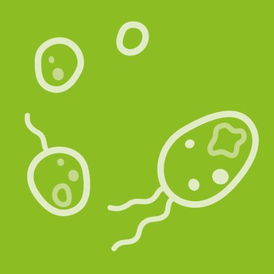 Review optical imaging parathyroid glands Life Journal | OMIG