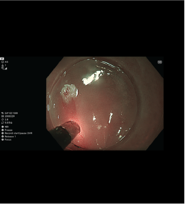 Picture 2_bijgesneden
