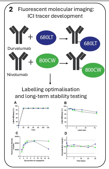 Hendrik article picture