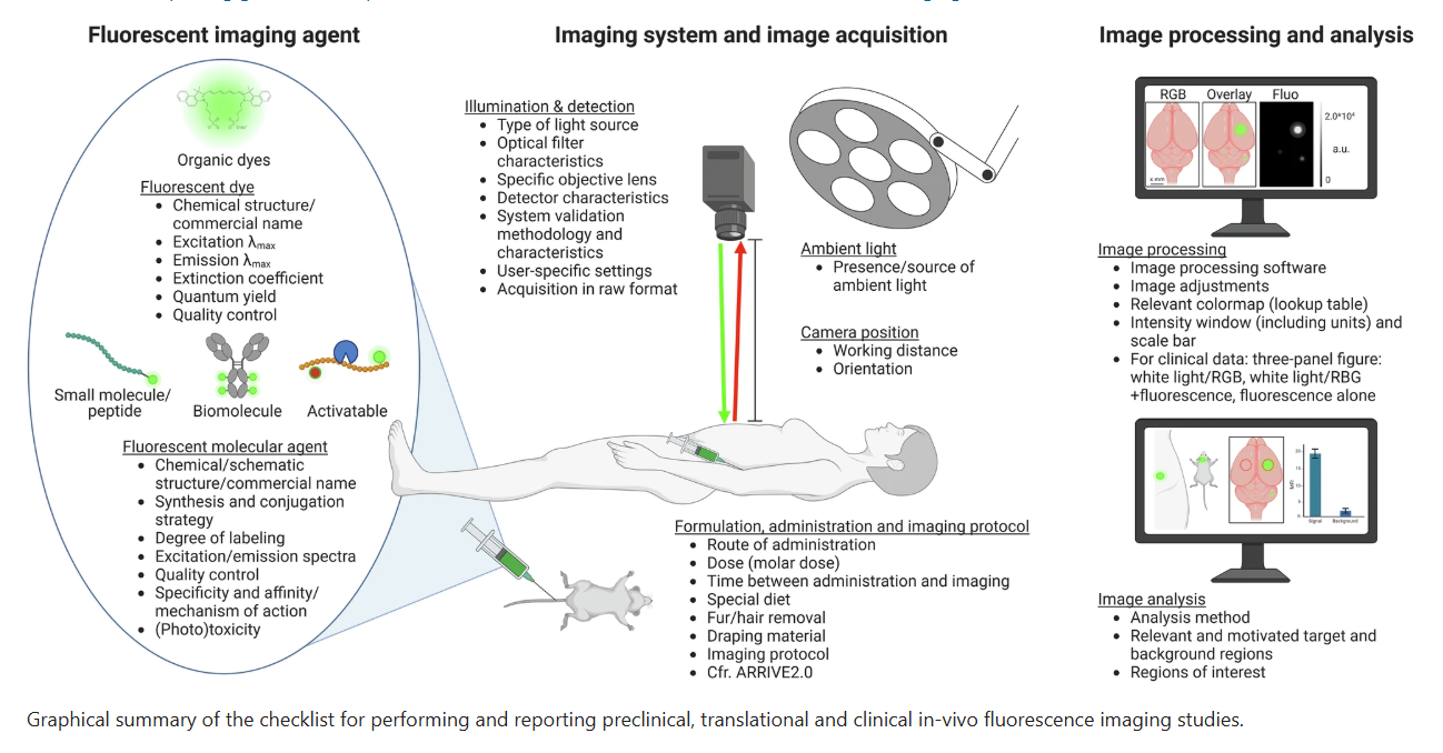 Bas publication in text image