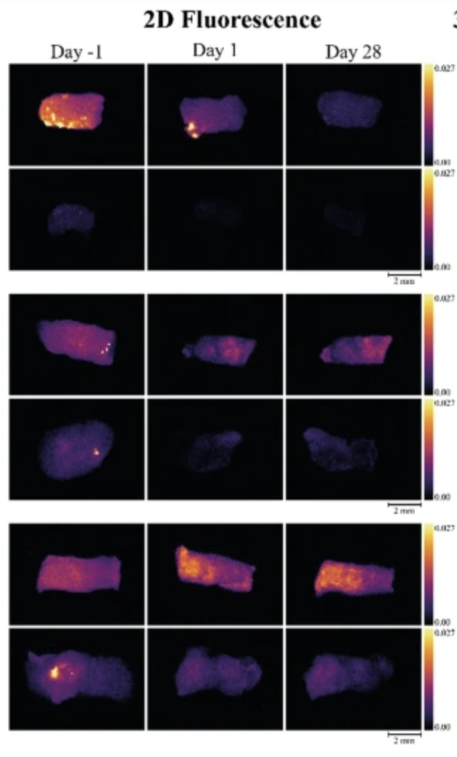 Screenshot 2026-01-08 at 15.13.11